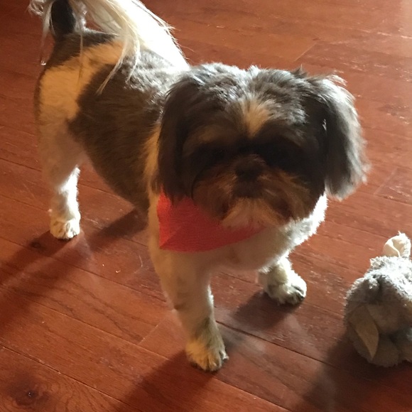 Meet your Posher, Pat - Picture 1 of 1